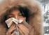 Паниковать рано! Как отличить свиной грипп от ОРВИ